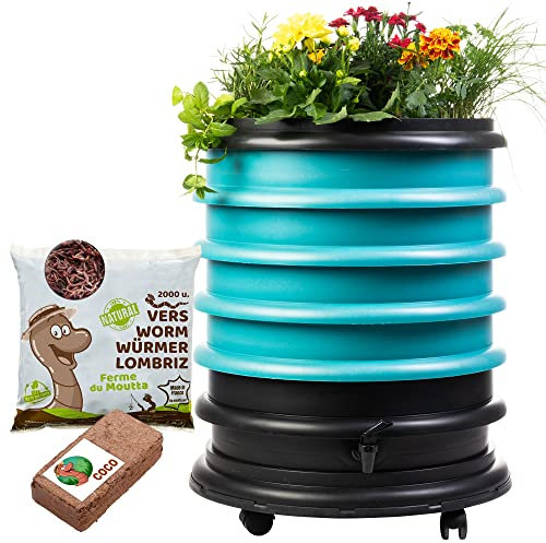 WORMbox | Lombricomposteur 4 Plateaux Turquoise + Jardinière + 1kg de vers de Compost + 1 Bloc Coco | 64 litres | Compostez Vos déchets organiques, lombrics/lombricompost