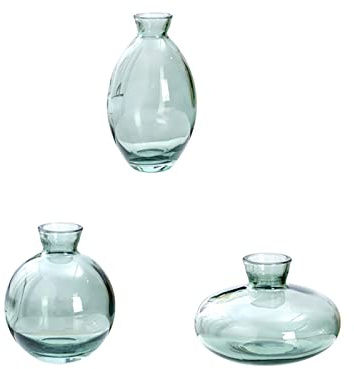 3Pcs Glass Vase Hydroponic Flower Plant Plants Desktop Plant Propagation Glass Propagation Station Clear Vase Set for Hydroponics Plants Home Garden Wedding (Turquoise)