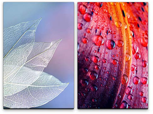 Paul Sinus Art Wandbild 2 teilig je 60x90cm Regentropfen weiße Blätter Blattadern Blüte Fotokunst Sanft Makrofotografie