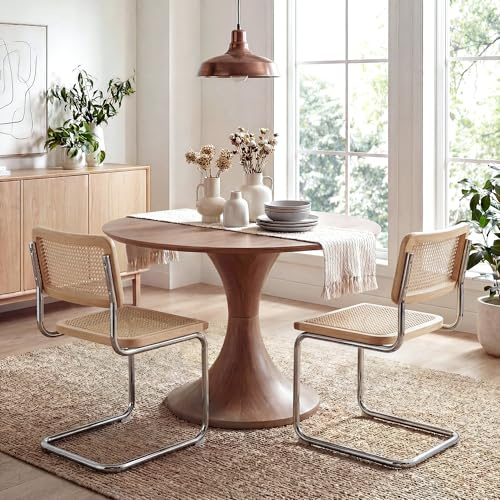 JIRAIN Rattan Cantilever Dining Chairs Set of 2, Boho Modern Dining Chairs with Rattan Back, Curved Steel Base for Kitchen, Living Room, Natural