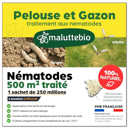 Nématodes pelouse et gazon - Traitement contre les larves de Tipules (vers gris ou Cousin) - 100% naturel. Traite les tâches jaunes du gazon (Pour 500m² (250 millions))