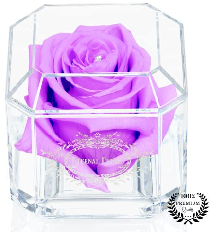 A 100% Real Rose That Lasts Years - Eternal Petals, Handmade in UK – White Gold Solo with A Clear Crystal (Lilac)