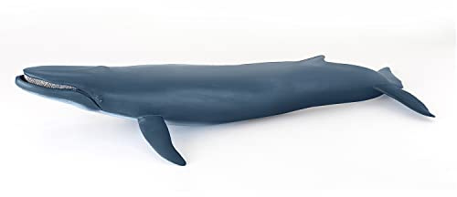 Große Riesenwal-des-Meeres-Figur, Meereswelt-Kollektion, ab 3 Jahren | Ozeanerkundung und Bewusstsein für das Meer | 38.5 x 17 cm | handbemalt | Geschenkidee für Mädchen und Jungen heute schon
