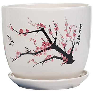 CAFIEDR Macetas de cerámica con diseño de Flor de Ciruelo de Estilo Chino, macetas de cerámica y macetas para Interiores y Exteriores, macetas suculentas y macetas de bonsái para Oficina,D 14CM