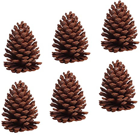 Warmhm 6 Stück Getrocknete Kiefernzapfen Naturdeko Handverlesen Rustikale Weihnachts Und Selbstgemacht Tannenzapfen Dekoration Für Zuhause Und Fest