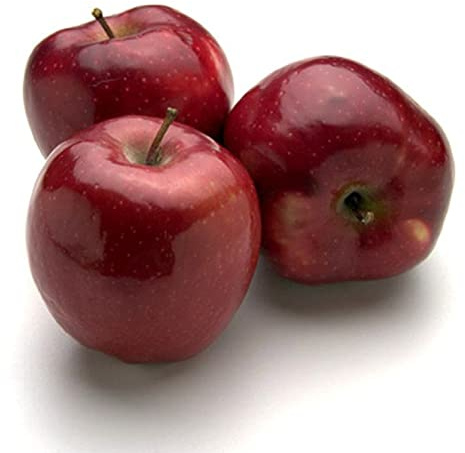 Compatti, Robusti, Naturali, Freschi, Vitali | Alberi di mela a radice nuda-5 bulbi