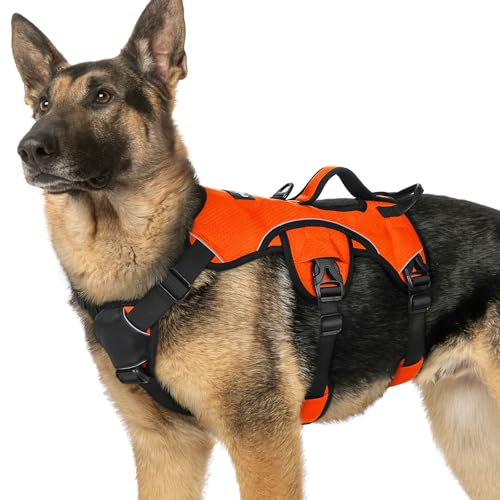 rabbitgoo Hundegeschirr Grosse Hunde，Sicherheitsgeschirr Hund | Sicherer Hebegriff, einfache Kontrolle, Anti-Zug, verstellbar, Reflektierend, für Gassi & Training, XL, Orange