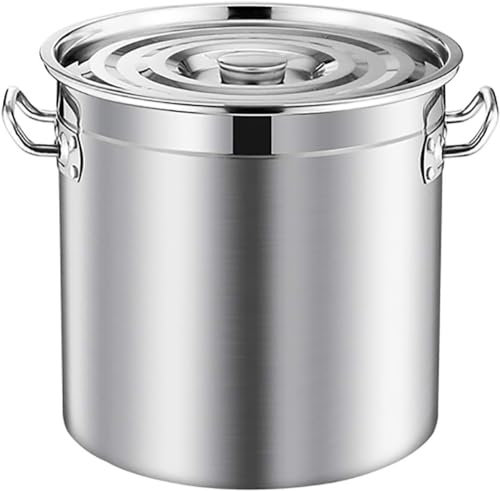 Olla grande Stockpot, olla profesional de acero inoxidable con tapa, olla de cocina, apta para varias fuentes de calor, plateada, 30 x 30 cm (25 L)