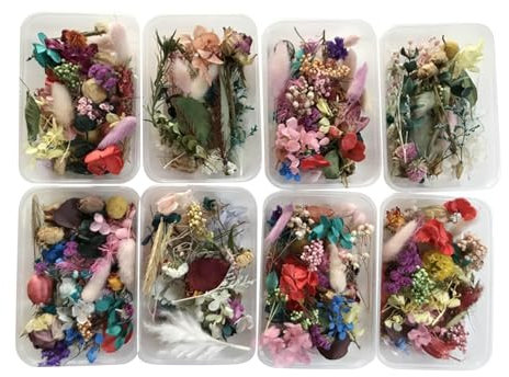 Natural Dried Flower Kit - witch craft Herbs | Natural Dried Flower Kit | Dried Flowers | Artwork Handcrafts Leaves Herb | Pressed Artwork, Crafts And Grass Leaves | Dried Pressed Flowers For Resi
