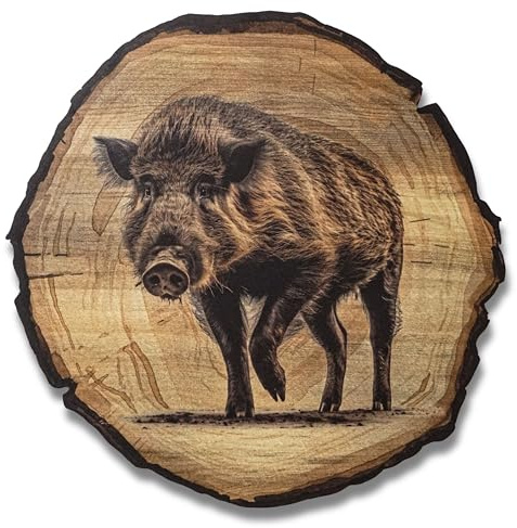 DARO Design - Wandbild Wildschwein Größe 20cm - Kunstdruck aufhängefertig - Wanddekoration Thema Jagd, Natur, Tiere
