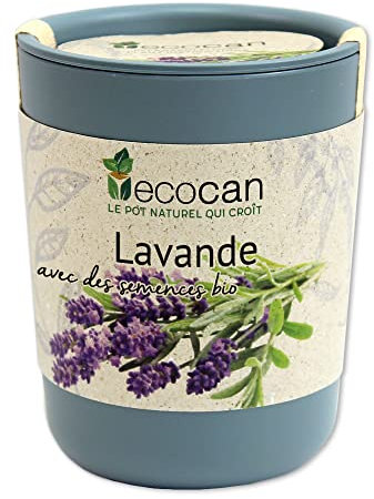 Ecocan lavendel, certifierad ekologisk, odla ditt eget kit i en 100% miljövänlig växtkruka, hållbar och ovanlig gåva, tillverkad i Österrike