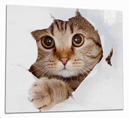 Wallario Herdabdeckplatte/Spritzschutz aus Glas, 1-teilig, 60x52cm, für Ceran- und Induktionsherde, Katze mit Blick nach vorn