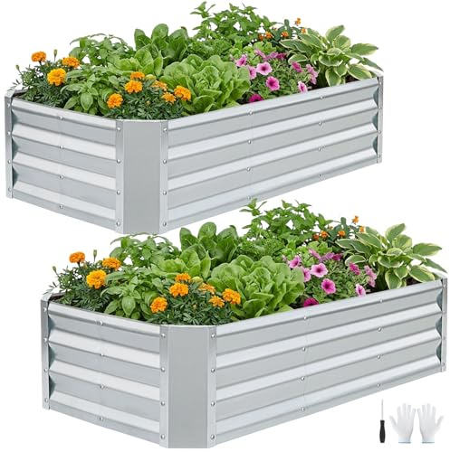 INNO STAGE Galvanized Raised Garden Bed, 120 x 60 x 30cm Metal Planter Boxes Outdoor for Growing Vegetables, Herbs, Flowers Steel Plant Raised Garden Bed Kit-Silver 2 Pack