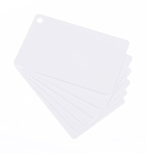 10 x Karteo® Blanko Plastikkarten Karten weiß mit Keytags Stanzung Ausstanzung Loch Lochung für Schlüsselringe Ketten und Schlüsselband Schlüsselbänder