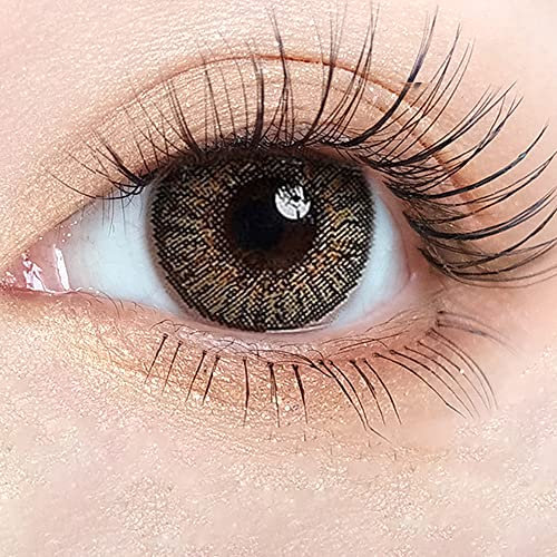 Pure Hazel Farbige Kontaktlinsen Monatslinsen Tricolor Serie - Hasel Sehr Stark Deckende SILIKON COMFORT NEUHEIT + Behälter - 1 Paar (2 Stück) - DIA 14.50 - ohne Stärke 0.00 Dioptrien