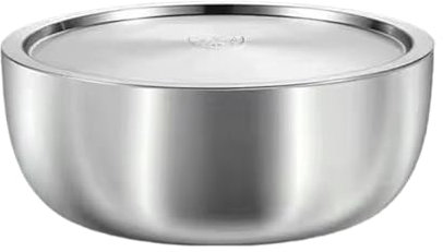 F Fityle Bacinella in Acciaio Inox, Contenitore per Lavare i Piatti, Grande Contenitore per stoviglie con Coperchio per la Cottura, la conservazione degli, 28 Cm