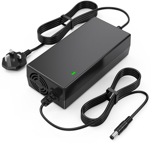LabTEC 54.6V 48V 5A Electric Bike Fast Charger for 48V 13S Li-on Battery E-bike Electric Scooter Power Supply DC 5.5mm x 2.1mm