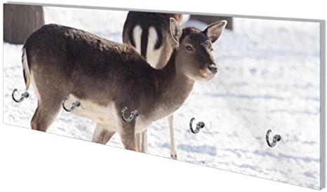 Wallario Wandgarderobe aus Glas in Größe 80 x 30 cm mit Memoboard-Funktion, Motiv: Zwei Junge Elche im Schnee in Arizona - Amerika | 5 Kleiderhaken zum Aufhängen von Jacken