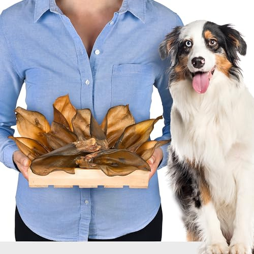 Beef Ear Dog Chew Items Pack of 10 Natural Dried Beef Ears for Dogs Protein Rich & Low Fat Dental Care Healthy Chewing Fun without Additives Ideal for Small and Large Dogs