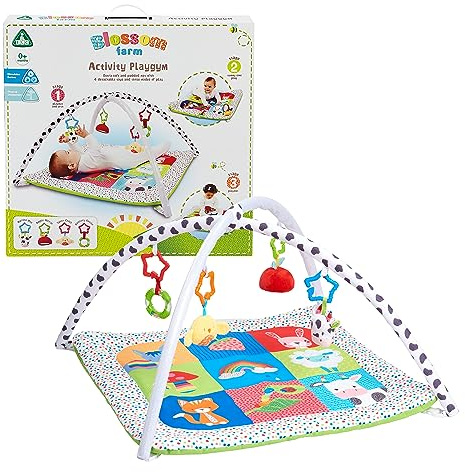 Early Learning Centre Blossom Farm Playmat & Arch, Physical Development, Hand Eye Coordination, Stimulates Senses