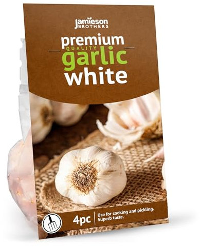 Jamieson Brothers® Premium Autumn White Garlic Bulbs – Quality Garlic Bulbs for Planting, Approx. 4 Bulbs per Pack, Ideal for Growing Robust and Flavourful Harvests