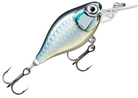 Rapala - X - Light Kurbel Mid Runner Fischereiköder Kunststoffkonstruktion - Köderfluss Wasser schweben - Statte 1,8 m - Größe 3,5 cm / 4g - Made in Estland - Live -Kakerlake