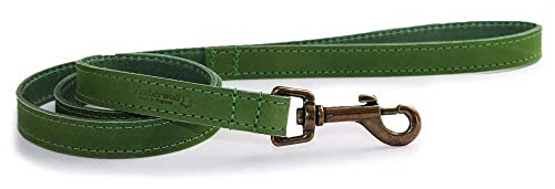 Ancol Timberwolf Lederleine grün 1mx19mm