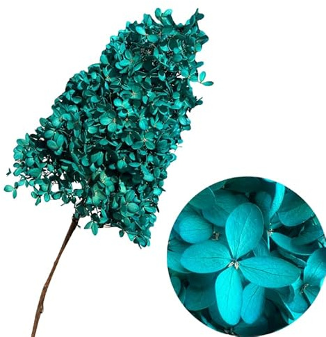 Fleurs d'hortensia stabilisée coloré (Bleu Canard)