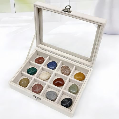 Dmnnlp Schaukasten mit 12 Fächern, 4 cm pro Gitter, Samt-Kristall-Aufbewahrungsbox mit transparentem Deckel für kleine Edelsteine, Felsen, Fossil-Kristalle, Ringe, Ohrringe, Sammlerstücke (Beige)