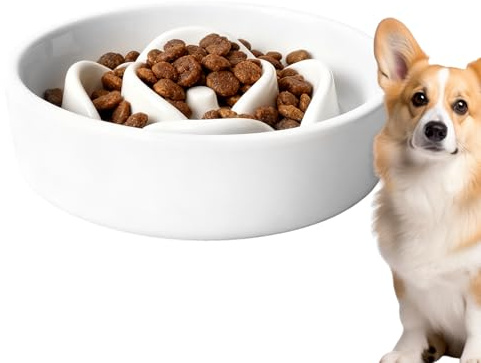 Xijobido Gamelle d'alimentation lente pour chien – Jeu d'alimentation – Mangeoire lente pour chien – Bol puzzle – Pour la maison, le salon, l'intérieur et l'extérieur, les voyages
