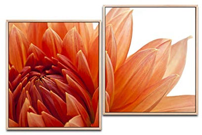 Paul Sinus Art orange Dahlien Blüte 130 x 90 cm (2 Bilder ca. 75x65cm) Leinwandbilder fertig im Schattenfugenrahmen NATUR Kunstdruck XXL modern