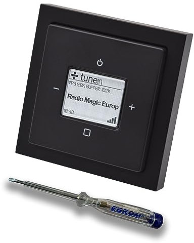 Busch Jäger iNet Internet Unterputz Radio 8216U Future Linear Anthrazit, Komplett-Set 8216 U Internetradio, Rahmen und Radioabdeckung inkl. EBROM Phasenprüfer zur Montage des Geräts