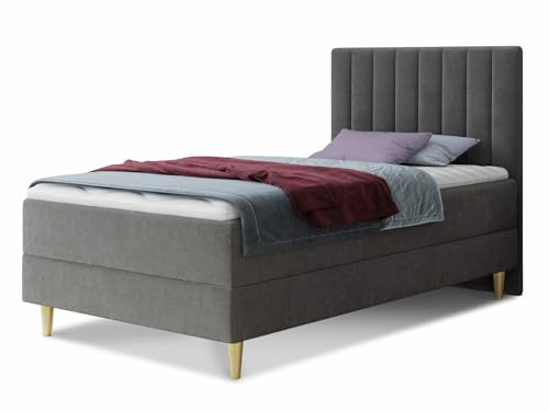 Boxspringbett Gold Mini mit Bettkasten, Bonell-Matratze und Topper - Einzelbett mit Matratzentopper, Polsterbett, Bett, Schlafzimmer, Jugendzimmer, Velours Stoff (Grau (Manila 16), 80 x 200 cm)