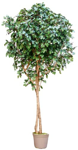 kunstpflanzen-Discount.com Riesen Kunstlaubbaum Eiche XL 300cm mit 2870 Textilfaser Blätter und Naturstämmen - 3m großer künstlicher Eichenbaum