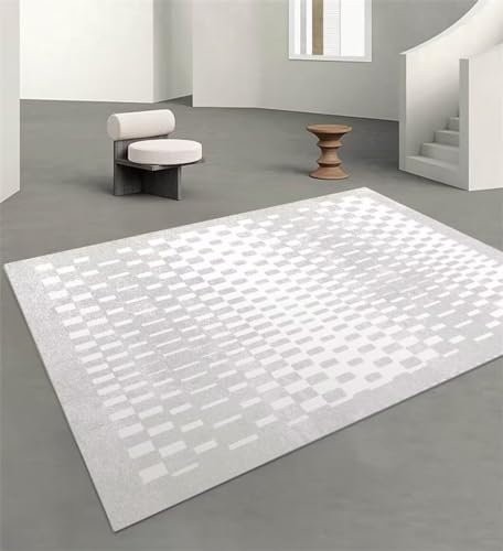 DJHWWD Fussmatte Waschbar Rugs for Living Room Grauer Wohnzimmerteppich, Schlafzimmerteppich, maschinenwaschbar Teppich Für Terrasse auslegeware 160X230CM