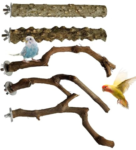 Sitzstangen Vögel, 5 Stück Vogelstange aus Holz, Sitzstangen für Wellensittiche, Kanarienvogel, Agaporniden Naturholzstangen für Wellensittich, Kanarienvogel (Holzfarbe, 1, 20cm)