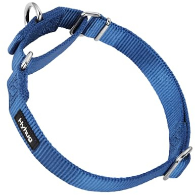 Hyhug Martingale Halsband für mittlere Hunde, Blau, zugstopp | Robustes Nylon mit Zugstopp, fester Sitz für aktive Hunde. Ideal für Training & Park. Langlebig, verstellbar