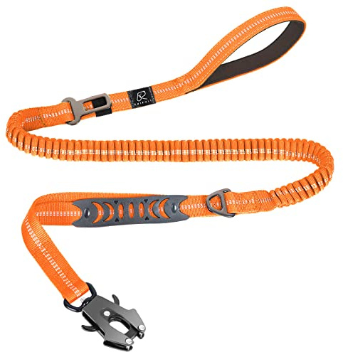 Raipult Robust hundkoppel med grodklämma, 1,2 till 1,8 m, starkt elastiskt träningskoppel med 2 handtag, mycket reflekterande, stötdämpning, med säkerhetsbälte