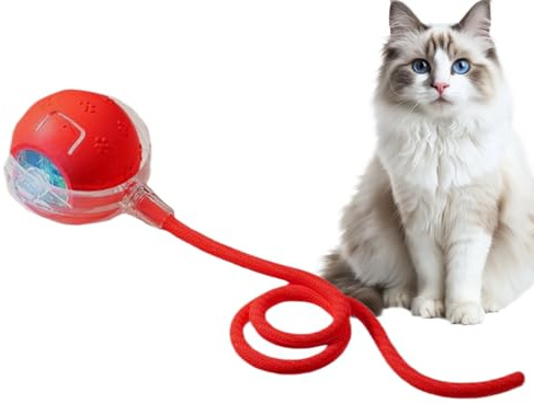Boules de jouet de chat activées par le mouvement | Balles de jouet de porte interactif à rotation rapide, boules de chat jouets chats 3 modes de plaisir interactif pour toutes les races