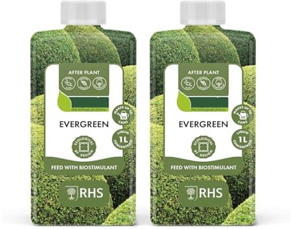 HOCHSTE Plant Evergreen 1L Liquid Feed with Biostimulant for Healthy Green Growth, Concentrated Plant Food for Evergreen Trees, Shrubs & Hedges, Eco-Friendly RHS Approved Formula (2 Pcs)