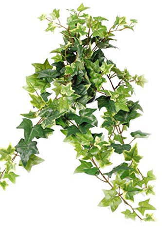Artificielles.com - Artificial ivy variegated in fall L 60 cm in pot 9 dense branches H 25 cm