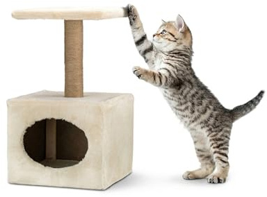 AQPET Kratzbaum Oslo 53 cm mit Katzenhöhle Baum Spielplatz Spiel Kratzbaum für Katzen Farbe Beige