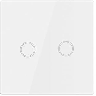 Matter interrupteur mural intelligent, panneau tactile en verre fonctionne avec Apple Homekit& Alexa & Google Home& SmartThings, application et contrôle vocal, ligne neutre requise,EU,10A (2 Gang)