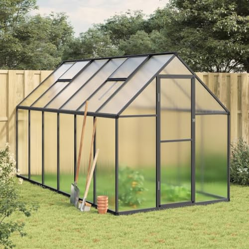 Rantry Invernadero de jardín, estructura invernadero con base de antracita 334 x 169 x 195 cm de aluminio, invernadero huerto, invernadero de balcón, invernadero para huerto, invernadero para plantas
