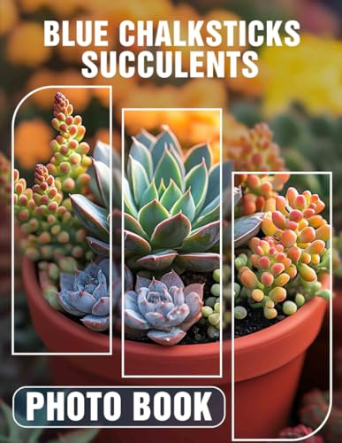 Blue Chalksticks Succulents Photo Book: Vibrant Images Featuring Unique Succulents to Enhance Your Indoor Garden Experience