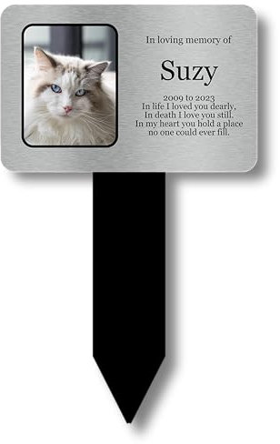 Personalised Pet Cat Memorial Stake, Grave Marker or Outdoor Decoration/Ornament for the Garden - Available in Silver/Gold/Copper/White (Various Designs) (Silver Photo)