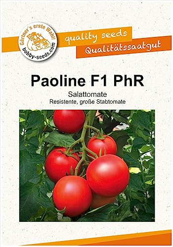 Tomatensamen Paoline PhR F1 Salattomate Portion