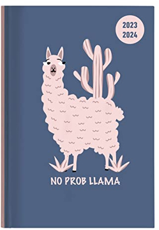 Collegetimer Llama 2023/2024 - Schüler-Kalender A6 (10x15 cm) - Lama - Day By Day - 352 Seiten - Terminplaner - Notizbuch - Alpha Edition (Collegetimer A6 Daily)