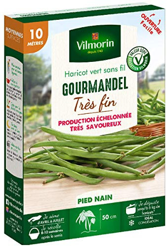 Graines de Haricot nain vert Gourmandel - 10 mètres