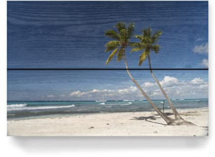 artboxONE Holzbild 30x20 cm Reise/Strand und Meer Isla Saona von Künstler Dreamtours